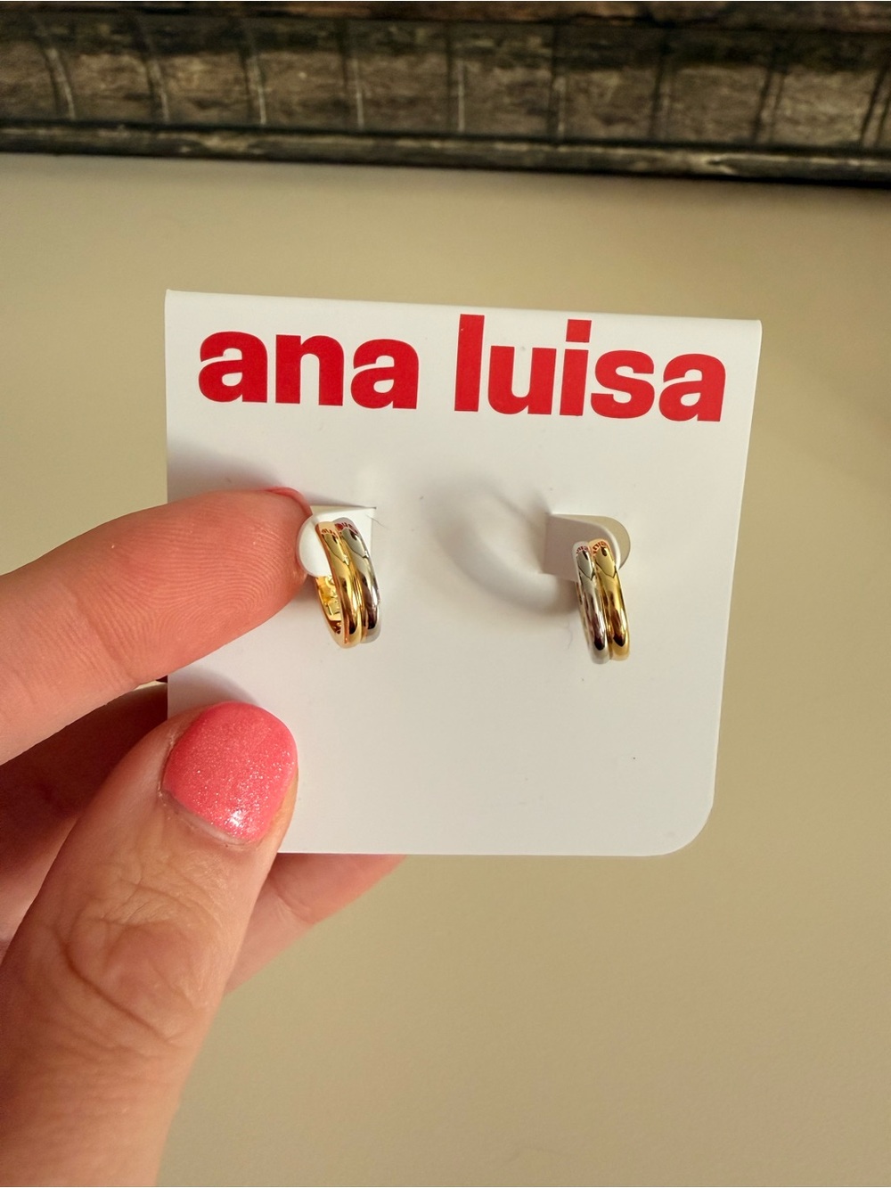 Ana Luisa Gold and Silver Plated Double Hoop Earrings RARE NEW NWT